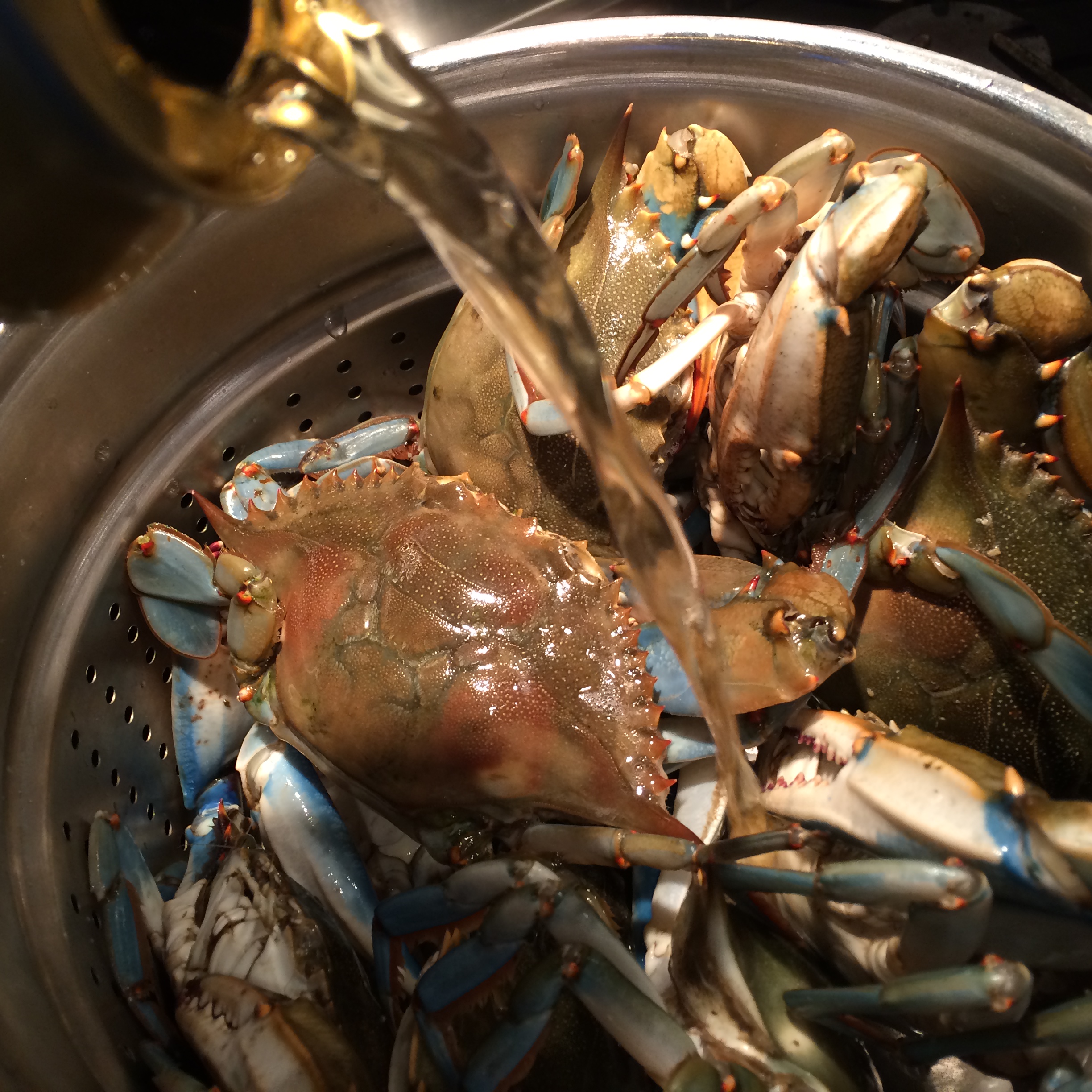 Steamed Crabs The Look, Smell and Taste of the 4th of July
