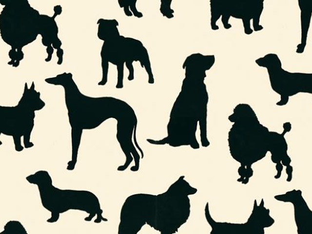 home decor for dog lovers