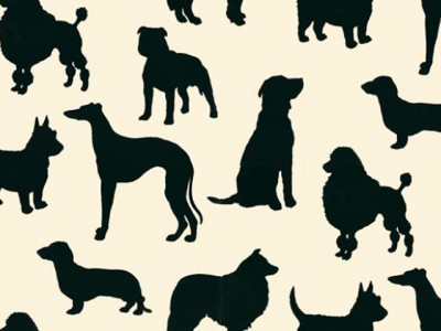 Dog silhouette wallpaper - Osborne & Little - Splendid Habitat