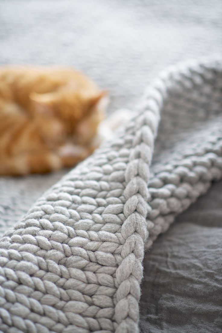 Knit blanket Warm & Fuzzy Splendid Habitat